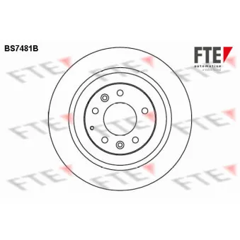 Jeu de 2 disques de frein arrière FTE BS7481B