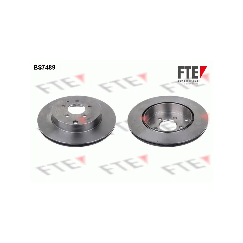 Jeu de 2 disques de frein arrière FTE BS7489