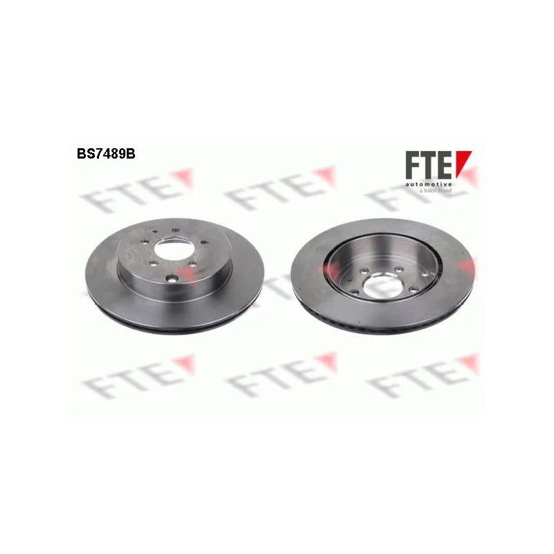 Jeu de 2 disques de frein arrière FTE BS7489B