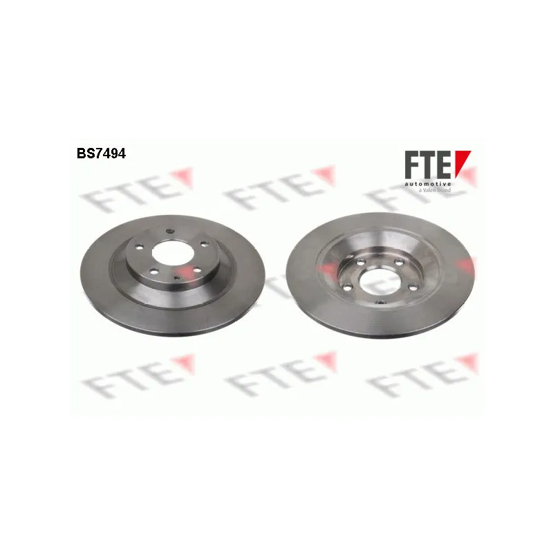 Jeu de 2 disques de frein arrière FTE BS7494