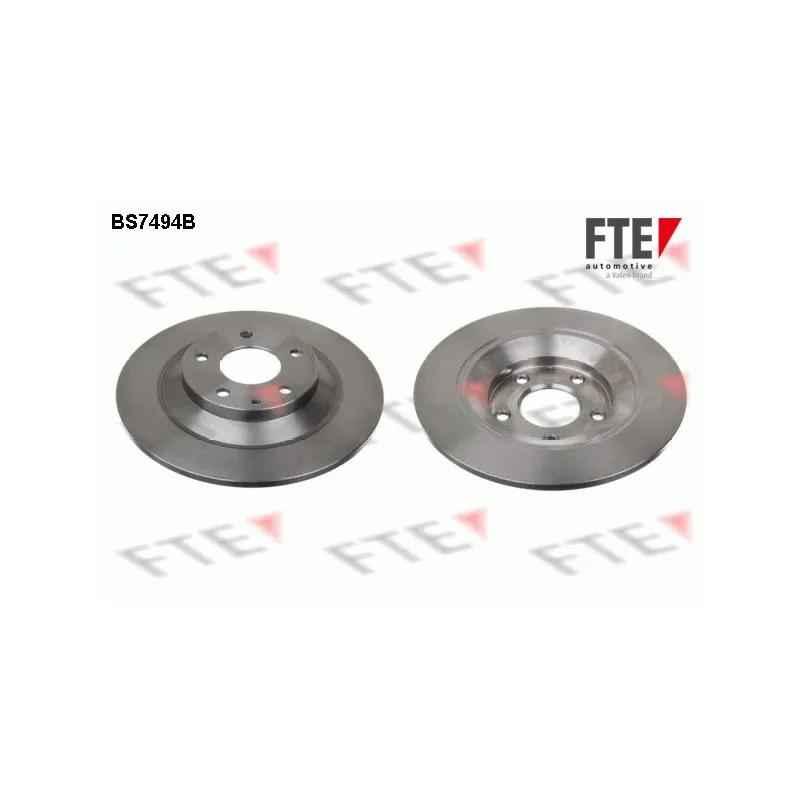 Jeu de 2 disques de frein arrière FTE BS7494B