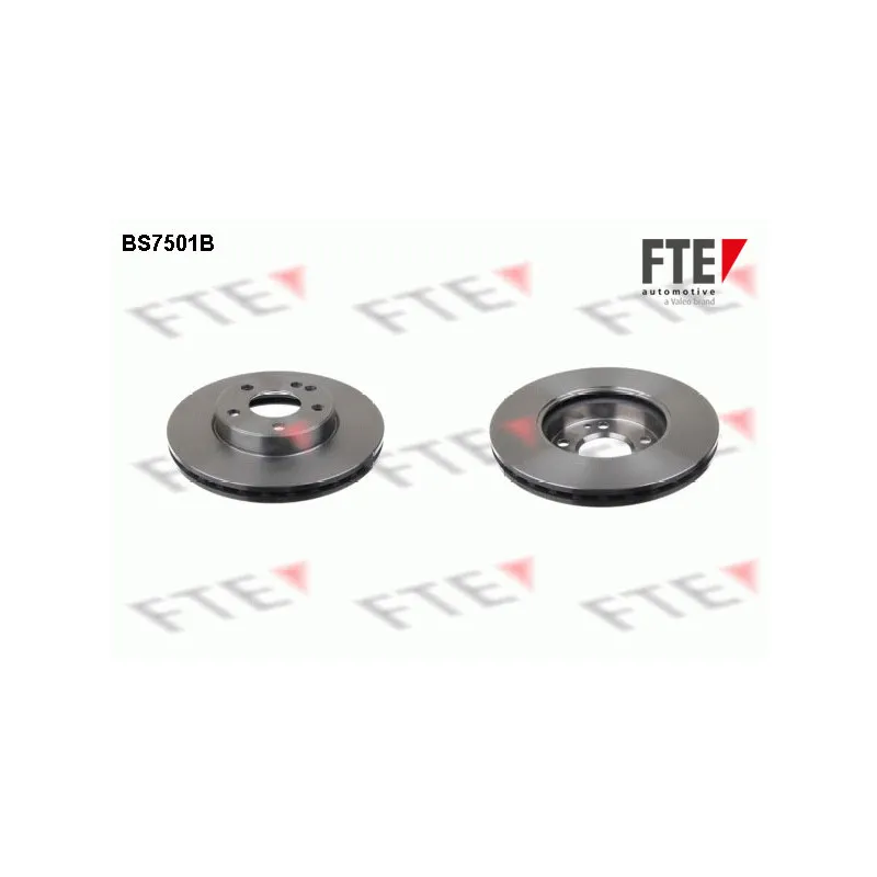 Jeu de 2 disques de frein avant FTE BS7501B