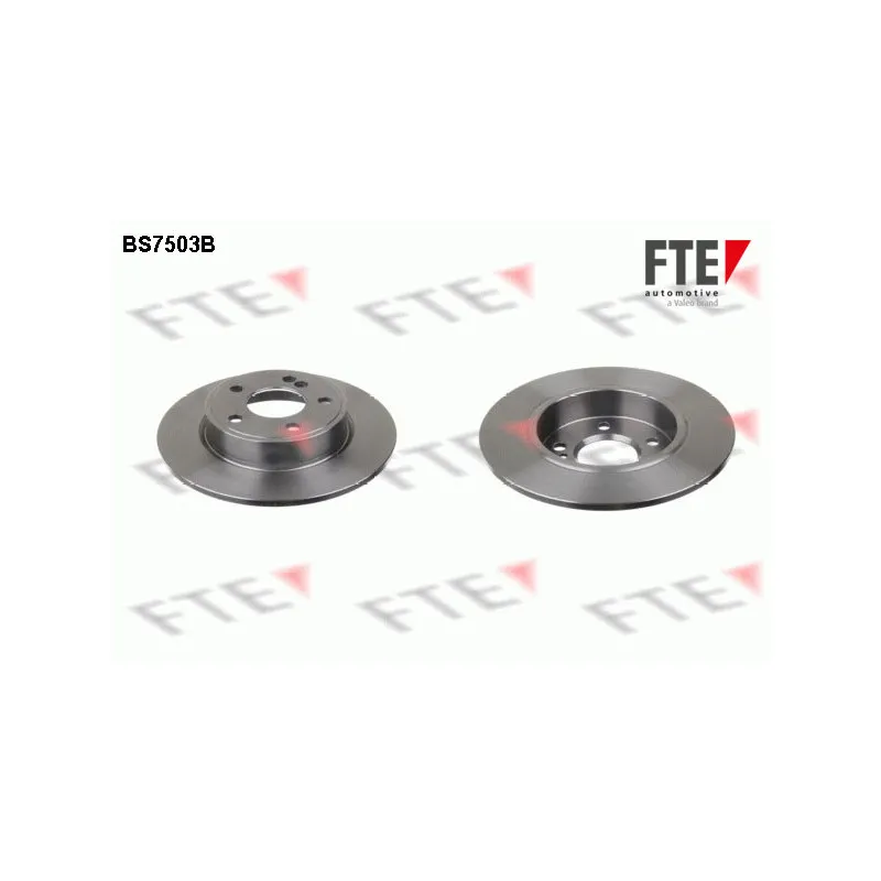 Jeu de 2 disques de frein arrière FTE BS7503B