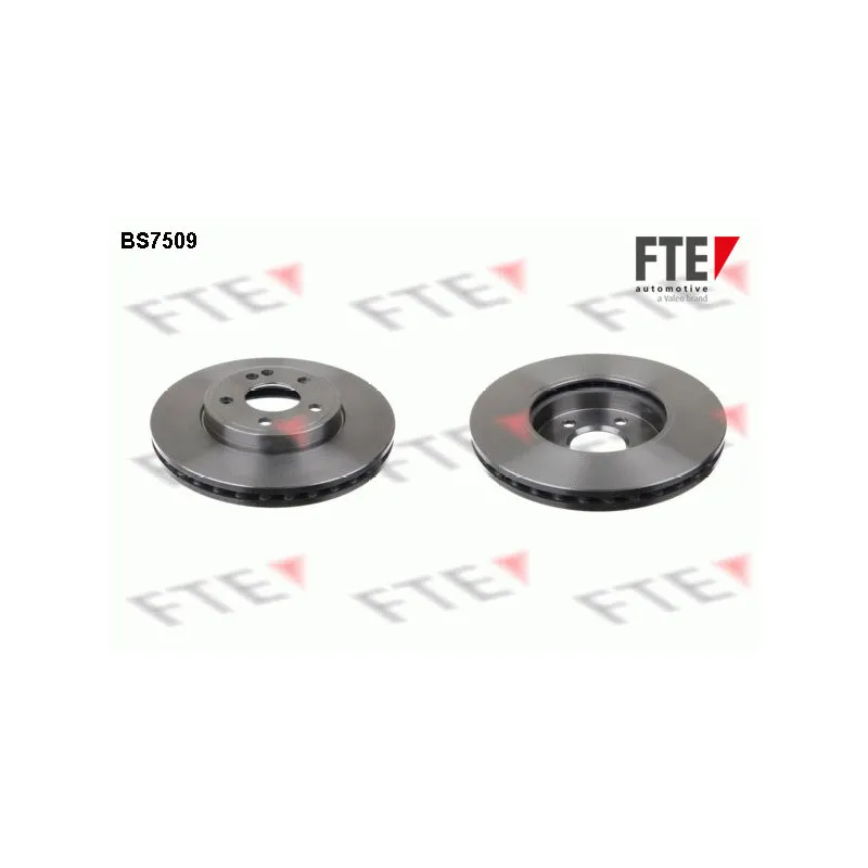 Jeu de 2 disques de frein avant FTE BS7509