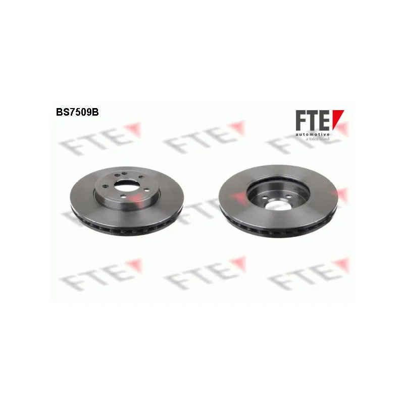Jeu de 2 disques de frein avant FTE BS7509B