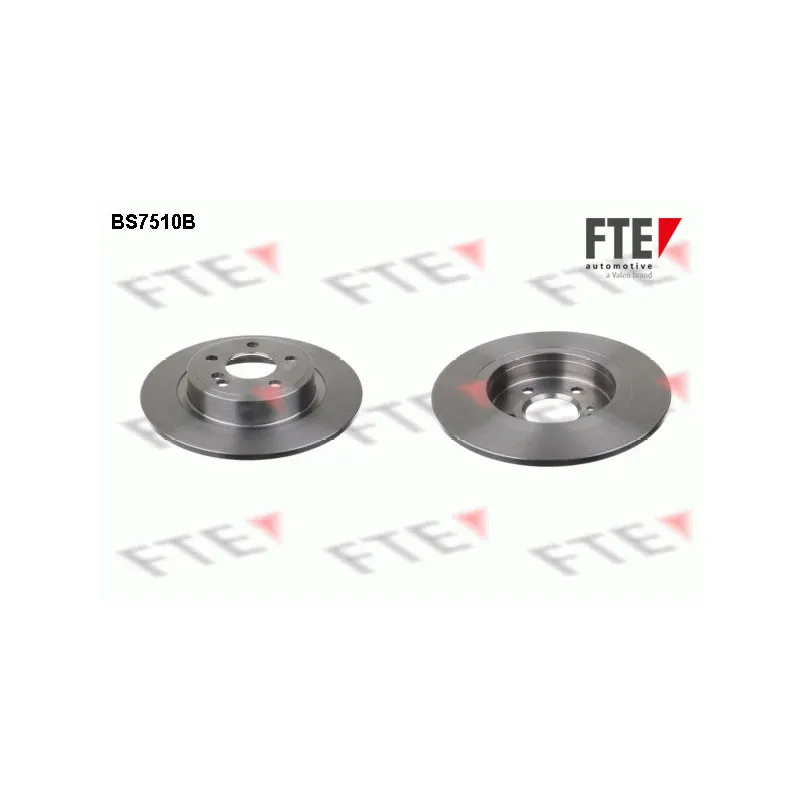 Jeu de 2 disques de frein arrière FTE BS7510B