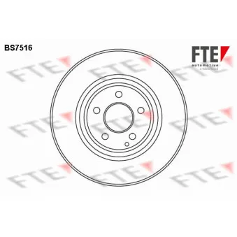 Jeu de 2 disques de frein avant FTE BS7516