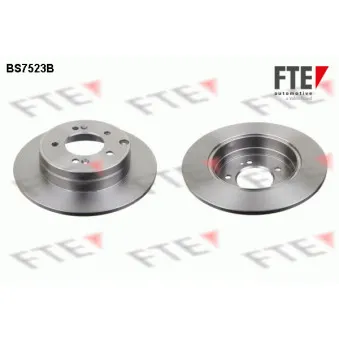 Jeu de 2 disques de frein arrière FTE BS7523B
