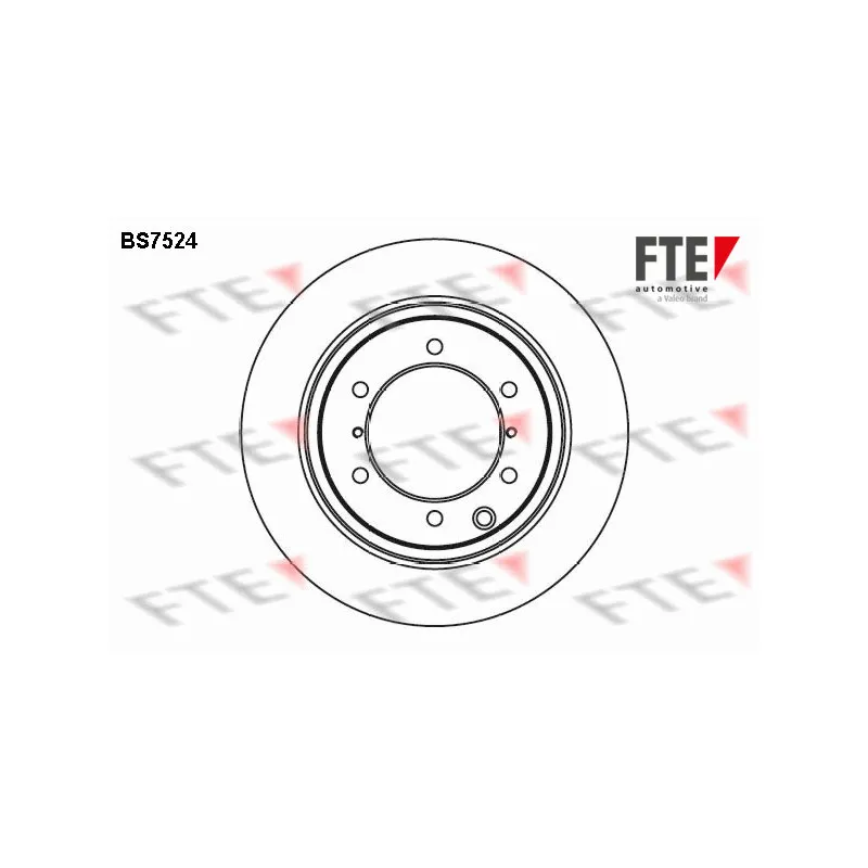 Jeu de 2 disques de frein arrière FTE BS7524