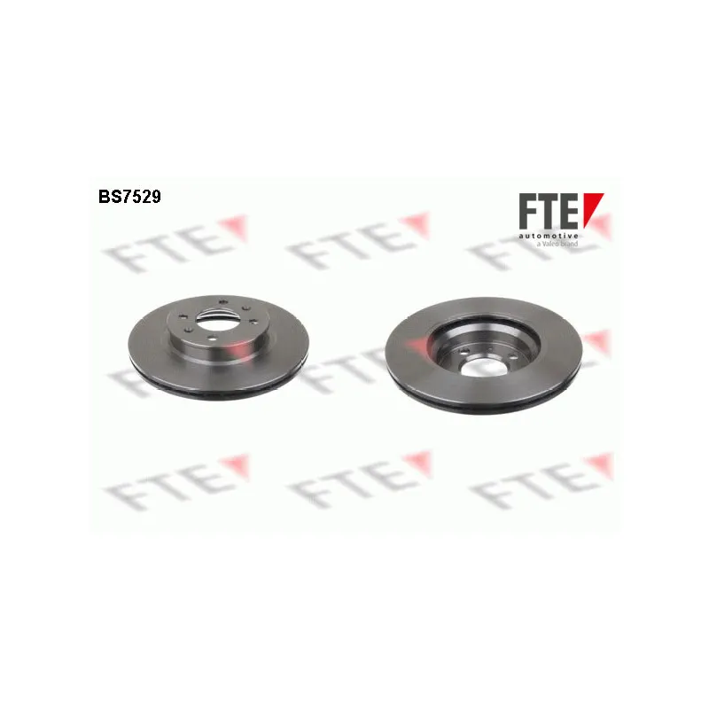 Jeu de 2 disques de frein avant FTE BS7529