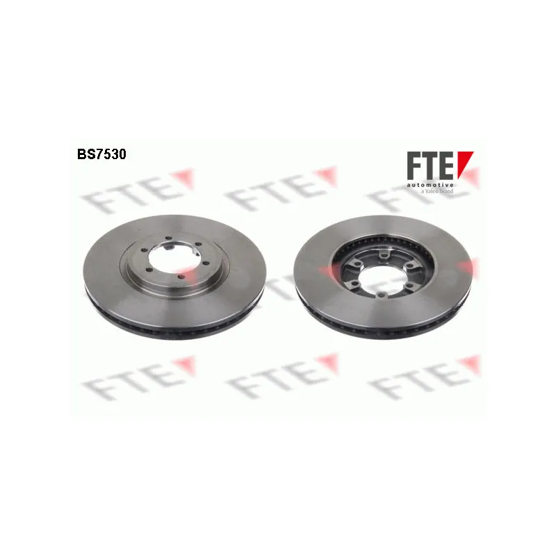 Jeu de 2 disques de frein avant FTE BS7530