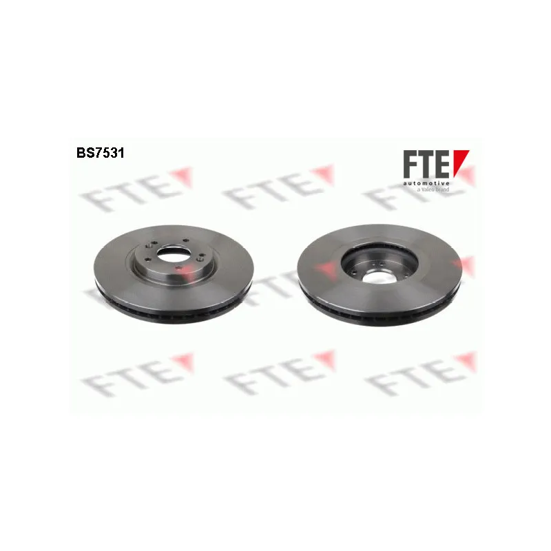 Jeu de 2 disques de frein avant FTE BS7531