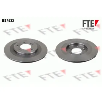 Jeu de 2 disques de frein arrière FTE BS7533