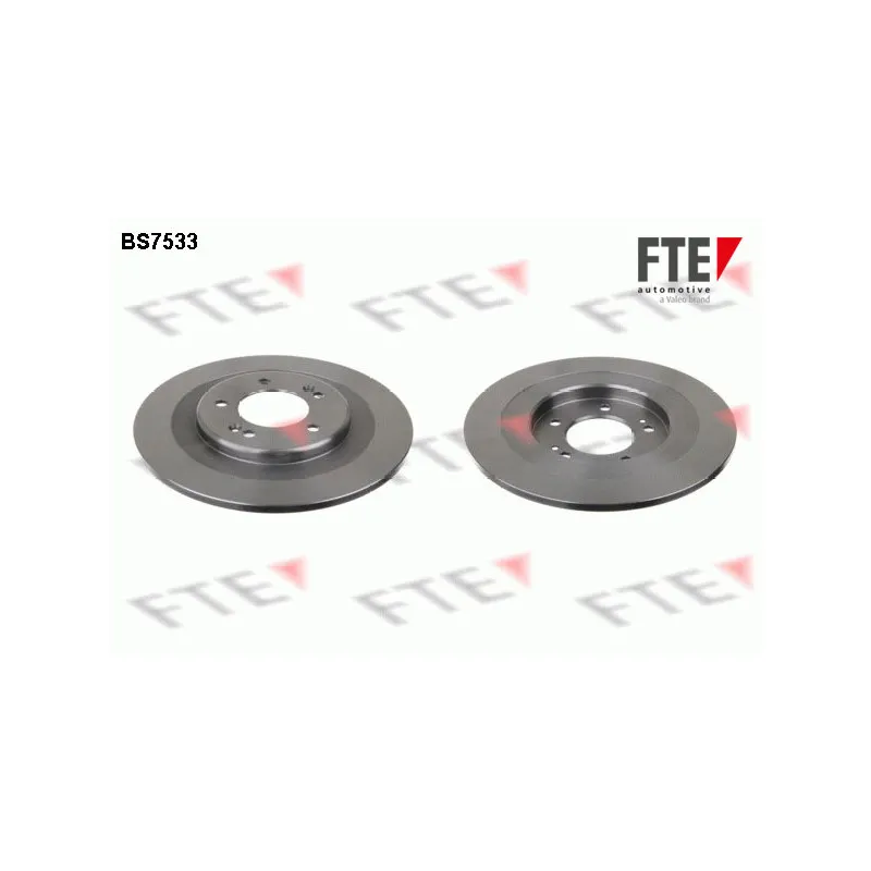 Jeu de 2 disques de frein arrière FTE BS7533