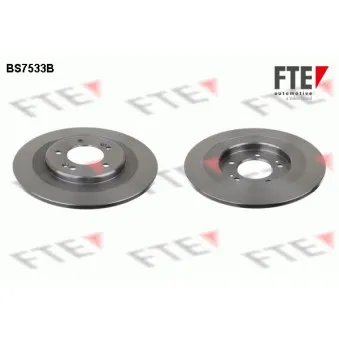 Jeu de 2 disques de frein arrière FTE BS7533B