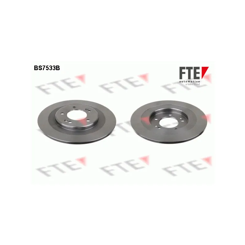 Jeu de 2 disques de frein arrière FTE BS7533B