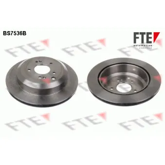 Jeu de 2 disques de frein arrière FTE BS7536B