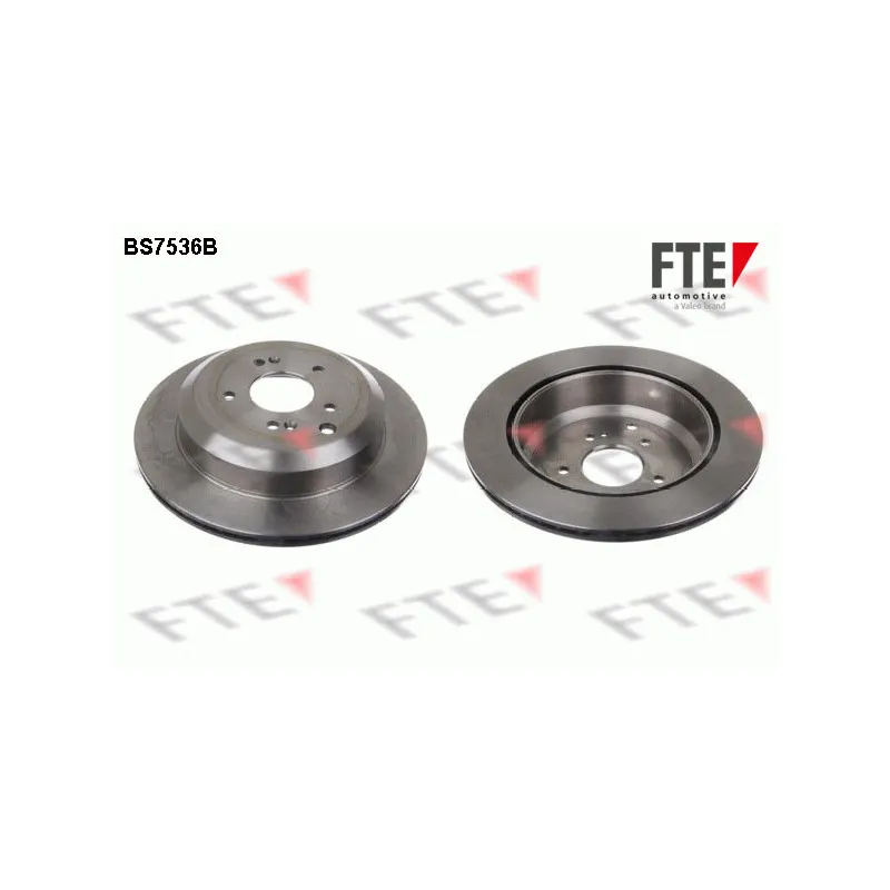 Jeu de 2 disques de frein arrière FTE BS7536B