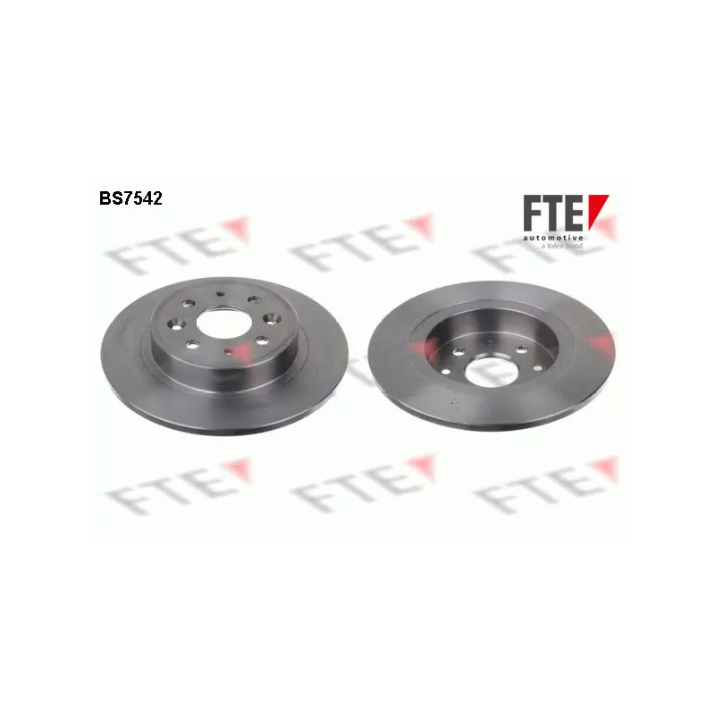 Jeu de 2 disques de frein arrière FTE BS7542