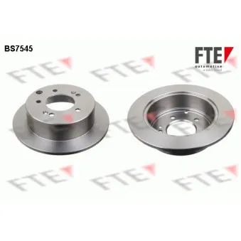 Jeu de 2 disques de frein arrière FTE