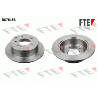 Jeu de 2 disques de frein arrière FTE