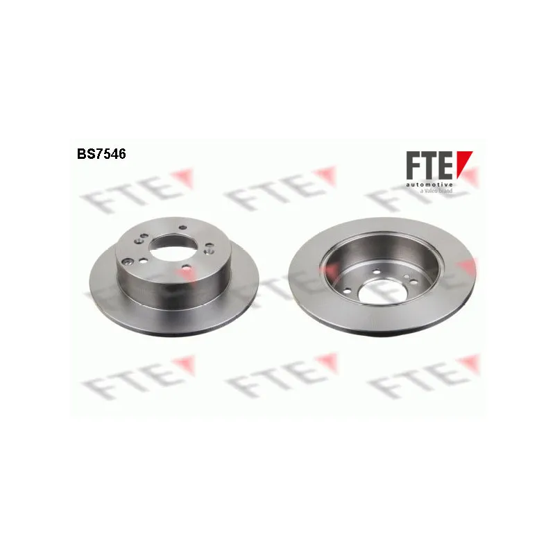 Jeu de 2 disques de frein arrière FTE BS7546