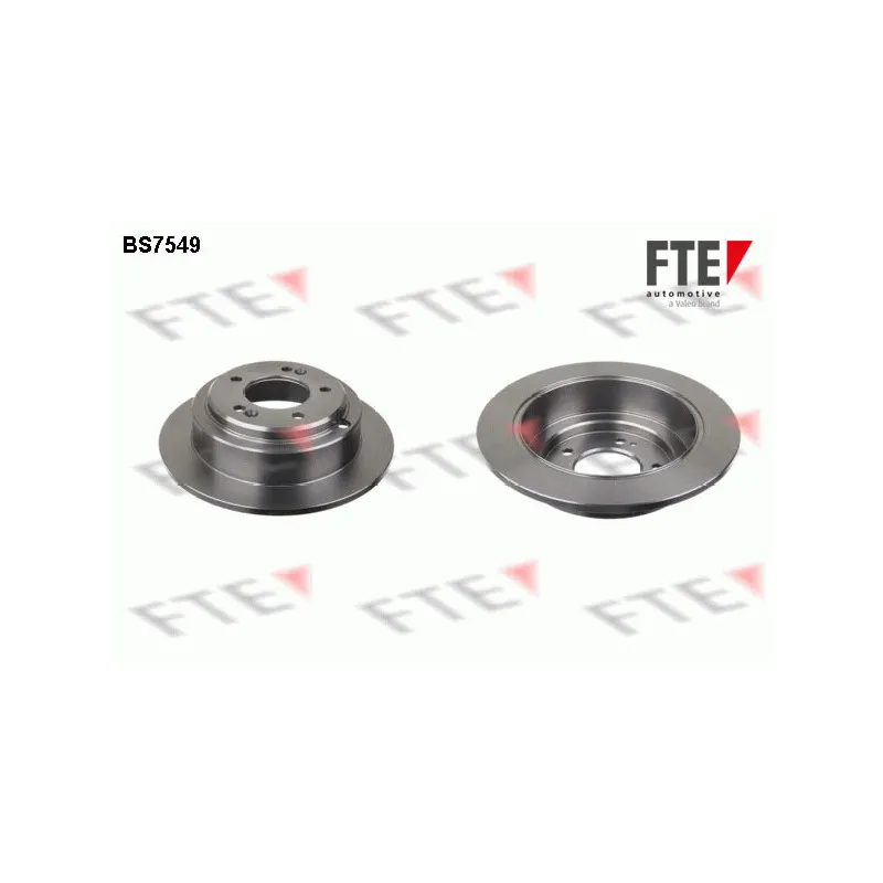 Jeu de 2 disques de frein arrière FTE BS7549