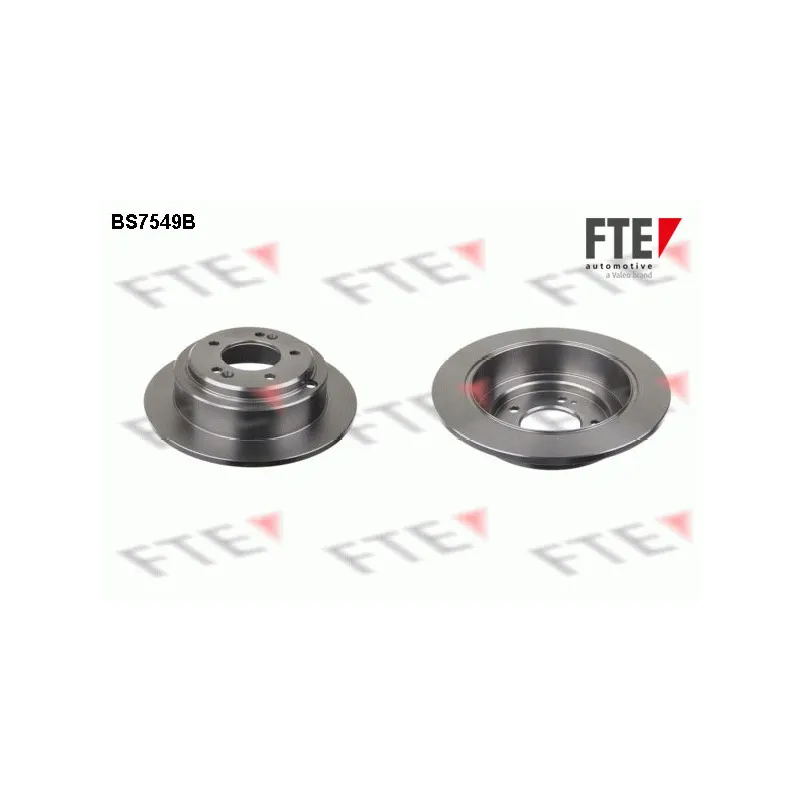Jeu de 2 disques de frein arrière FTE BS7549B