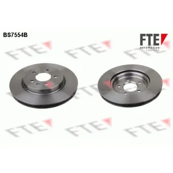Jeu de 2 disques de frein arrière FTE