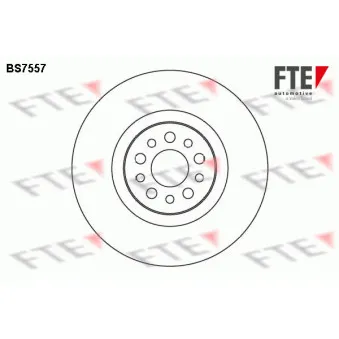 Jeu de 2 disques de frein avant FTE BS7557