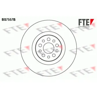 Jeu de 2 disques de frein avant FTE BS7557B
