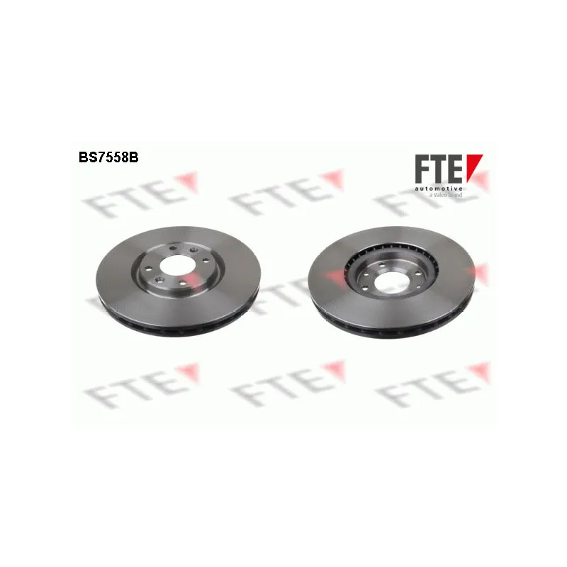 Jeu de 2 disques de frein avant FTE BS7558B