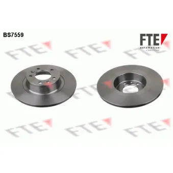 Jeu de 2 disques de frein arrière FTE BS7559