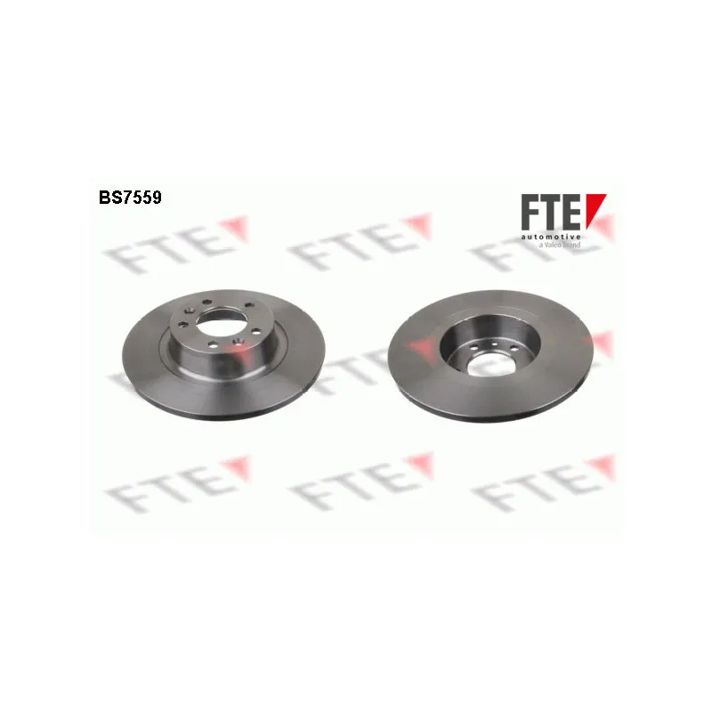 Jeu de 2 disques de frein arrière FTE BS7559