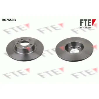 Jeu de 2 disques de frein arrière FTE BS7559B