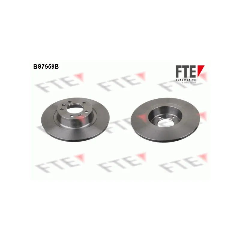 Jeu de 2 disques de frein arrière FTE BS7559B
