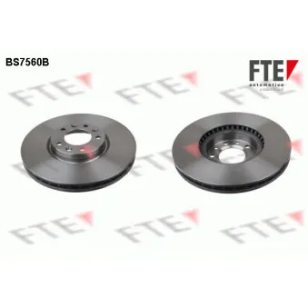 Jeu de 2 disques de frein avant FTE BS7560B