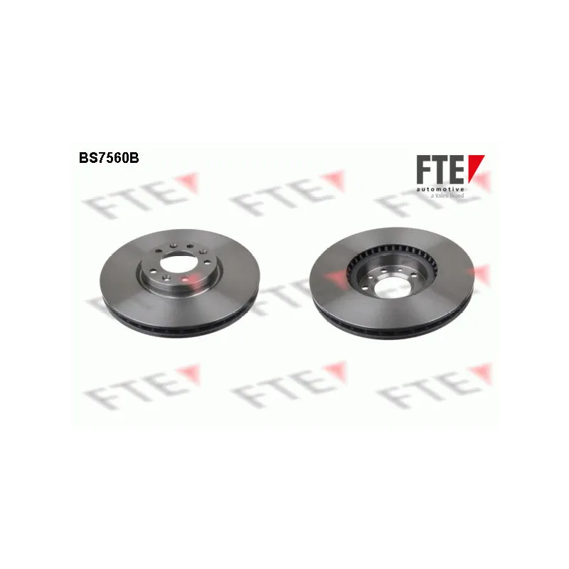 Jeu de 2 disques de frein avant FTE BS7560B
