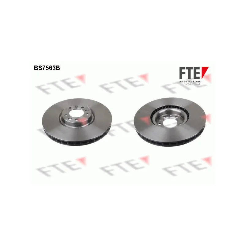 Jeu de 2 disques de frein avant FTE BS7563B