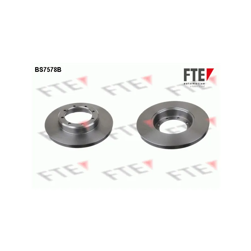 Jeu de 2 disques de frein arrière FTE BS7578B