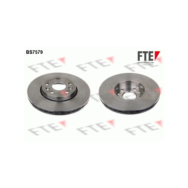 Jeu de 2 disques de frein avant FTE BS7579