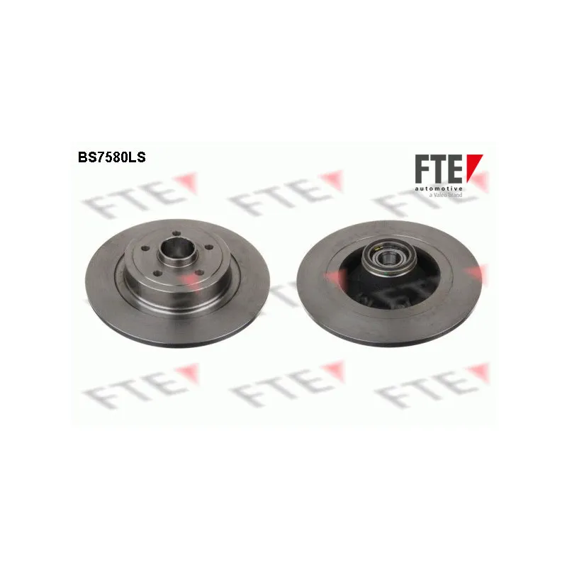 Jeu de 2 disques de frein arrière FTE BS7580LS