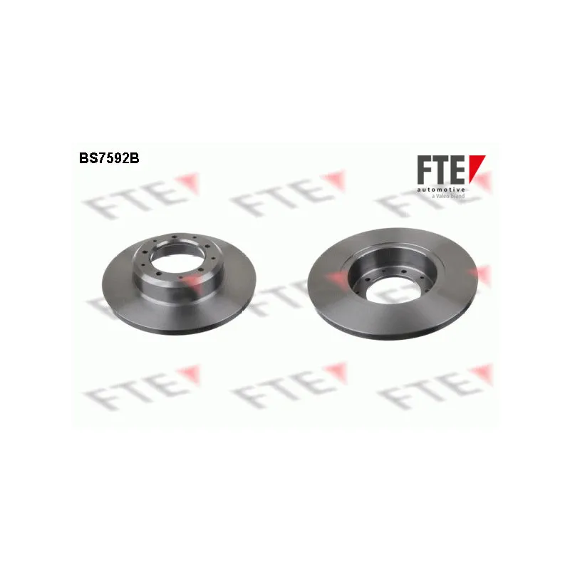 Jeu de 2 disques de frein arrière FTE BS7592B