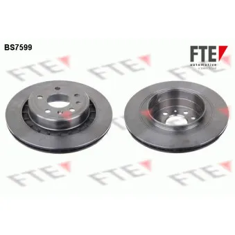 Jeu de 2 disques de frein arrière FTE BS7599
