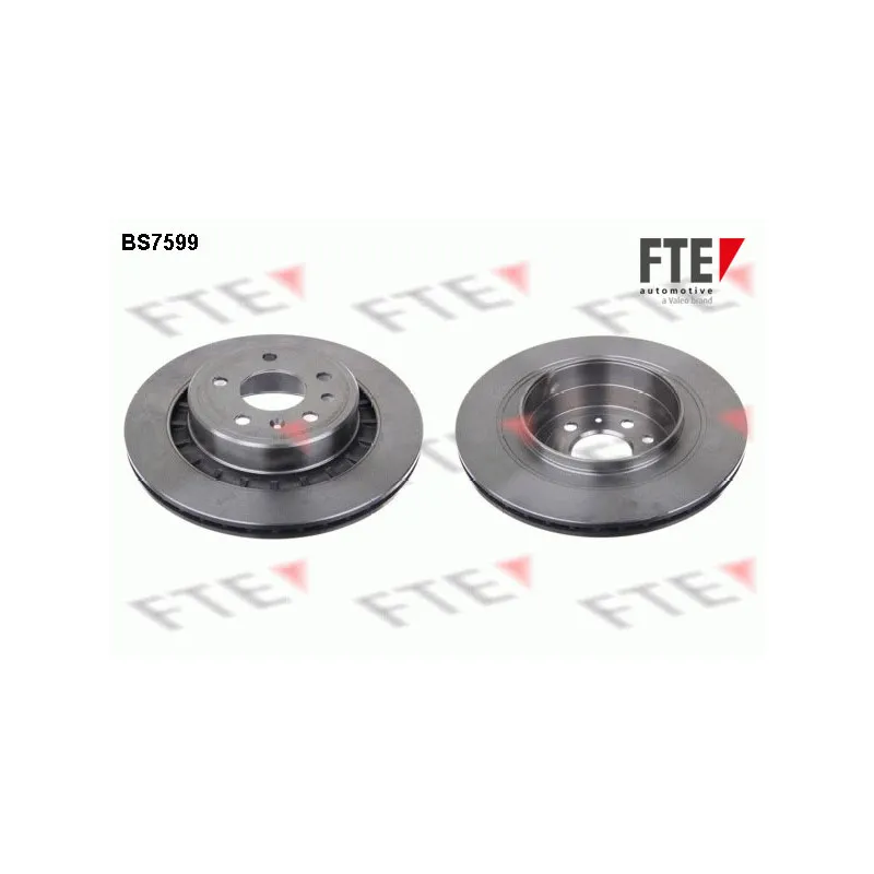 Jeu de 2 disques de frein arrière FTE BS7599