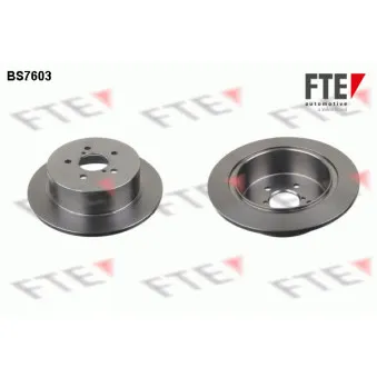 Jeu de 2 disques de frein arrière FTE BS7603