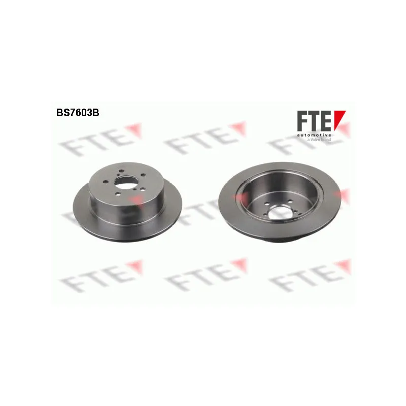 Jeu de 2 disques de frein arrière FTE BS7603B