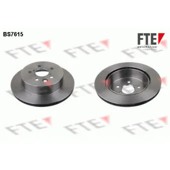 Jeu de 2 disques de frein arrière FTE