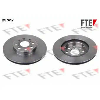 Jeu de 2 disques de frein arrière FTE