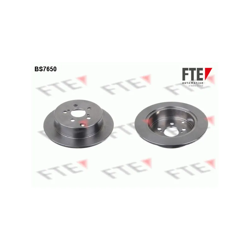 Jeu de 2 disques de frein arrière FTE BS7650